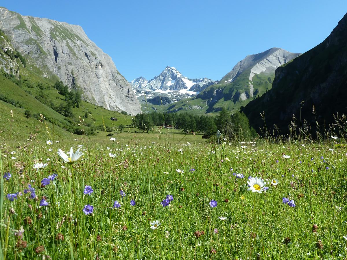 Alpengasthof Lucknerhaus Hotel Kals-am Großglockner Buitenkant foto